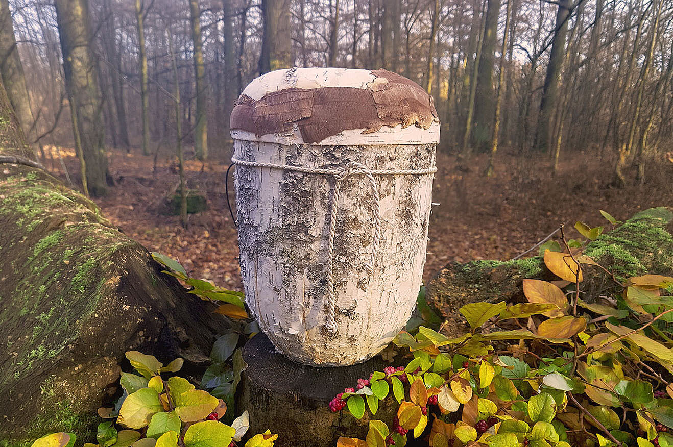 Urne für Waldbestattung auf einer Wurzel arrangiert mit Herbstlaub.