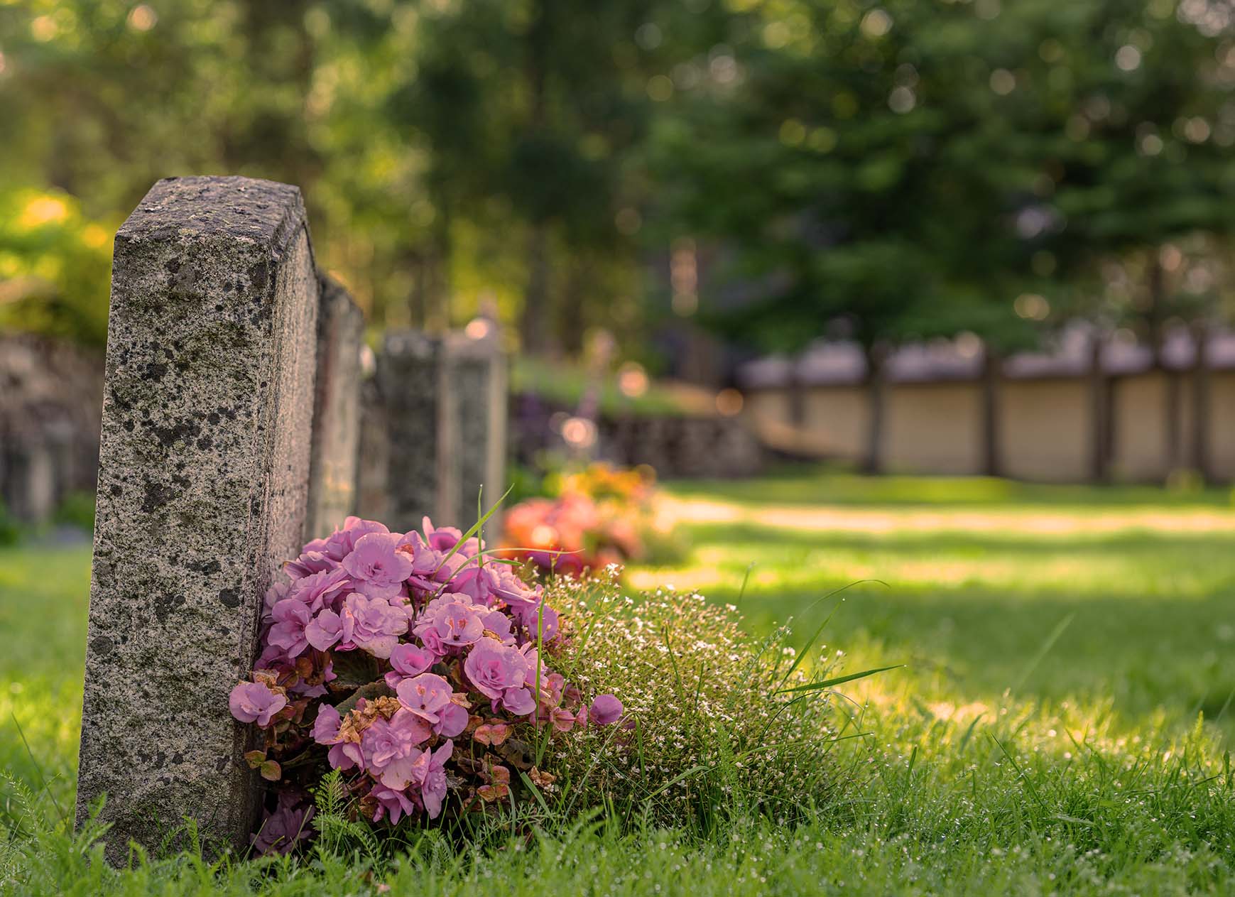 Detailaufnahme mit Blumen geschmückter Grabstein auf dem Friedhof.